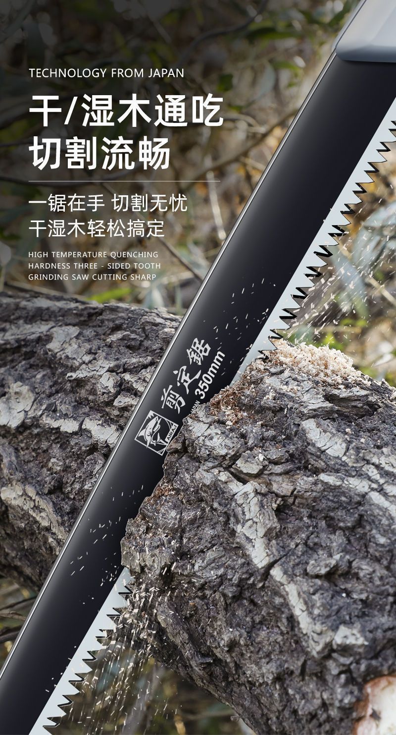 a448f60d-7c6b-433a-9469-f4a38b3cb494.jpe