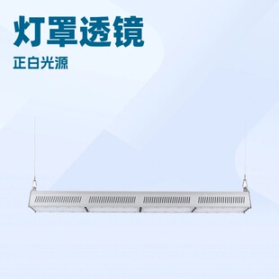 New 6063 Profile Aluminum Wall Washer, Industrial and Mining Lamp, Tunnel Lamp, 400W Linear Lamp, Ip65 Suitable for Stadium Lamp