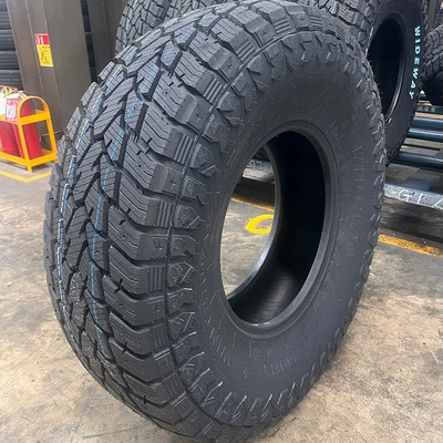 Off-road şinlər — Snow Off-Road Tire, can