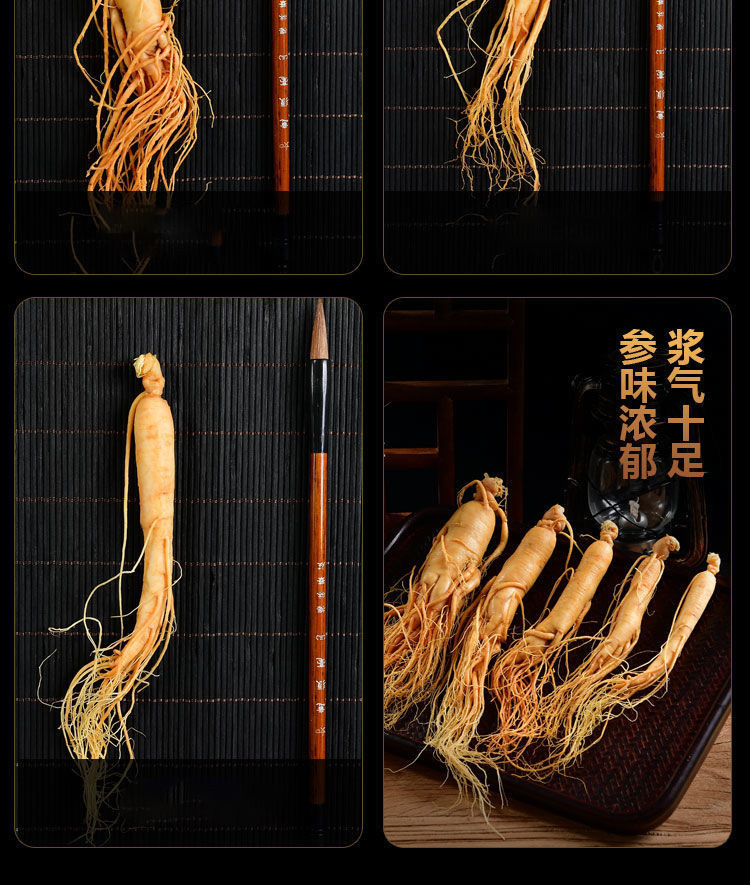 Fresh Changbai Mountain Ginseng Ren Shen Whole Root for Wine Infusion and Soup Making Gift Box in use