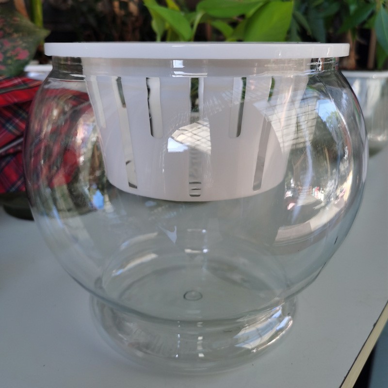 透明な特別な水耕植木鉢水生植物室内容器プラスチック花瓶デスクトップポトスディスプレイ水耕ポット