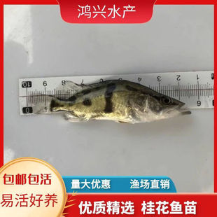 ��ˮ���~�N����~���Z���~����~���r���F�~������·�����~��