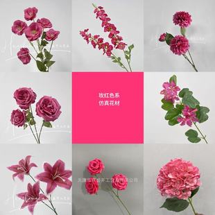 õtɫϵ滨Yõtɫbٻc픵Ų廨õ