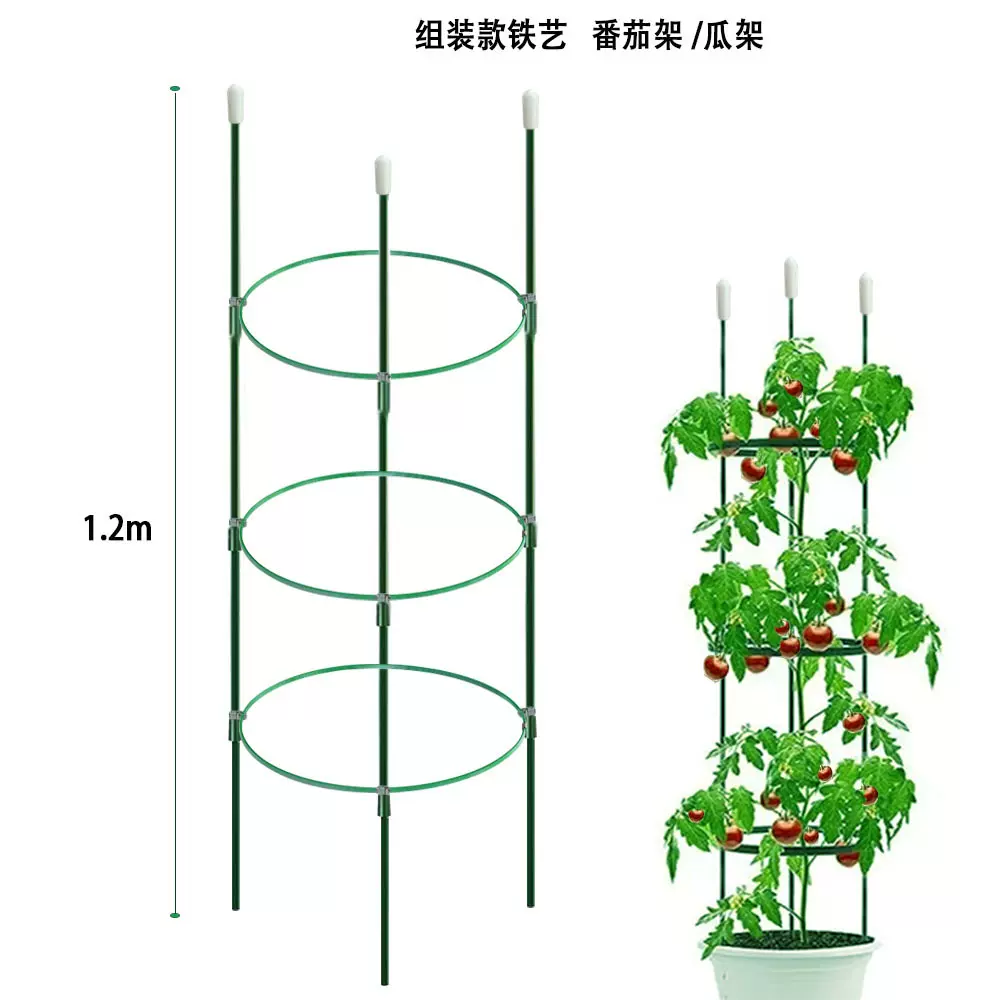 番茄架花园月季花金属固定植物架爬藤架亚马逊花支架藤架园艺户外