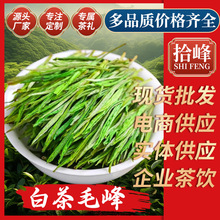 ʰ��2025������ˇ�㽭�P�Ͱײ�ë��G����~���l�Ј�ɢ�b�S��ֱ�N