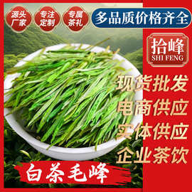 拾峰2025安吉工艺浙江凤型白茶毛峰绿茶茶叶批发市场散装厂家直销