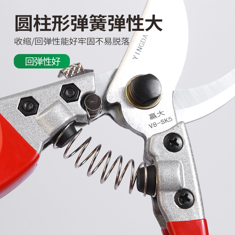Winda al por mayor tijeras de podar de jardinería tijeras de podar de rama sk5 hogar de acero al carbono al aire libre árbol frutal cama tijeras de podar
