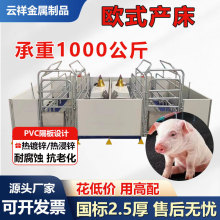 加厚欧式母猪产床2.4*3.6米钢管热浸锌猪用产床PVC围栏产保两用床