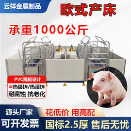加厚欧式母猪产床2.4*3.6米钢管热浸锌猪用产床PVC围栏产保两用床