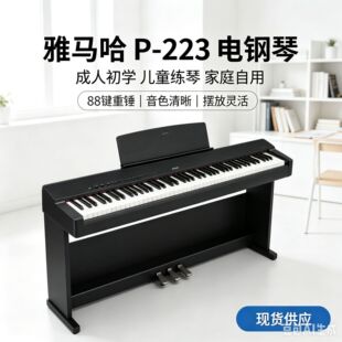 ���R.��p223����88�I���N�I�P�ϳ������W�߱�y���Ì��I�����