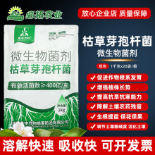 奥丰枯草芽孢菌杆菌农用微生物菌剂肥料活化土壤改良剂生根壮苗