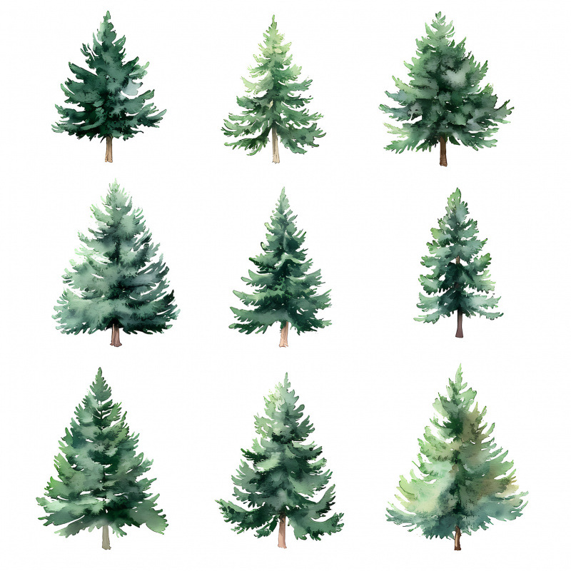 3d grön växt tallbarr väggdekor för vardagsrum och sovrum_voghion.com