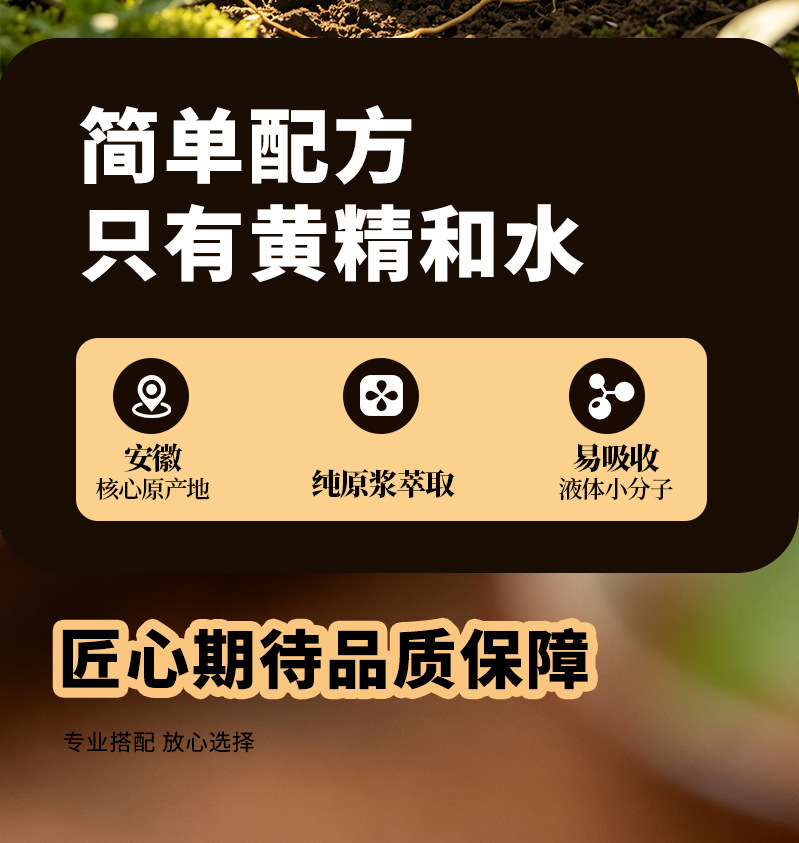 Organic American Ginseng Pure Liquid Extract Xi Yang Shen Ready-to-Drink Concentrated Juice 30ml x 7 Sachets specifications