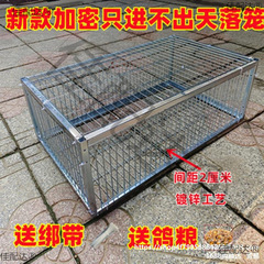 新款加密只进不出鸽子笼天落笼户外撞门笼全自动收鸽笼捕鸽子神器