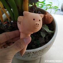 �մ��ԄӝBˮ�������Π���˝��������õ�ˮ������С�͵ι��ܻ���