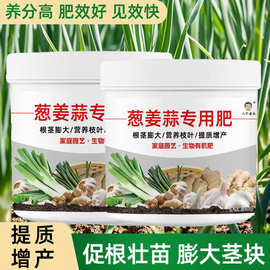 葱姜蒜专用肥香葱小葱黄叶韭菜料有机肥料四季通用小葱专用肥料