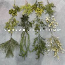 ɭϵ�Gֲǧ�ӽ�݅��쾰���þƵꙻ�����ղ���Ī�λ��@�L�Gֲ����