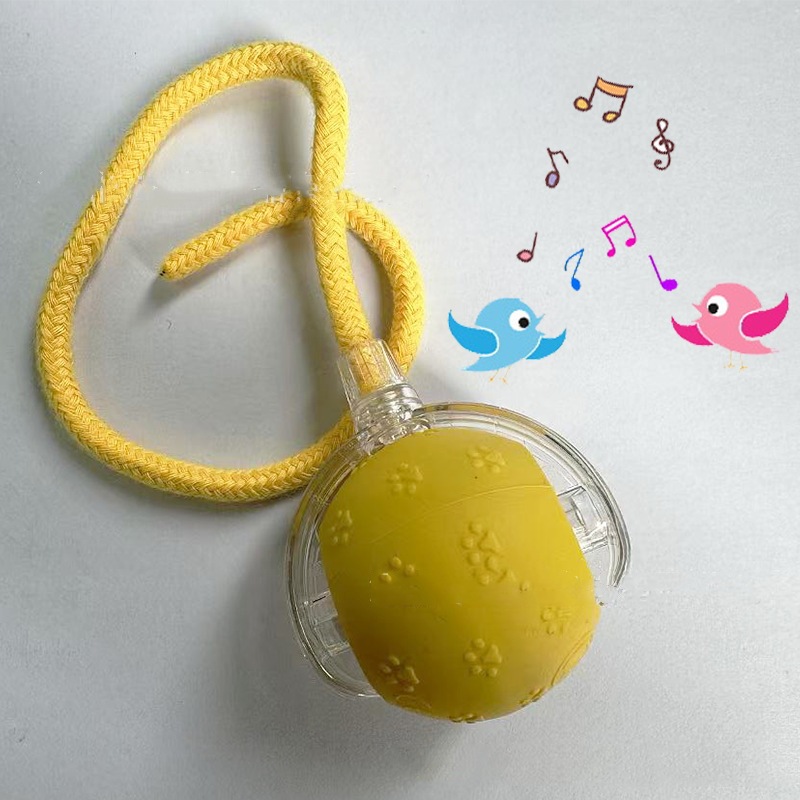 노란 고양이 발톱을 부르는 새