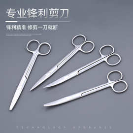 现货不锈钢外科实验室解剖手术拆线剪组织剪纱布剪教学美容小剪刀