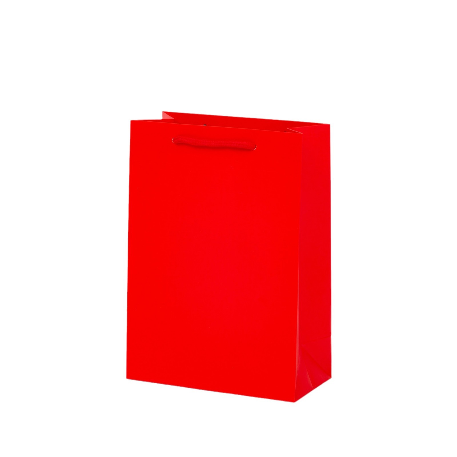 ChristmasChristmasgiftpresentgivinggiftHappy HolidaysGift BagPaper Bag Foil Stamping 5