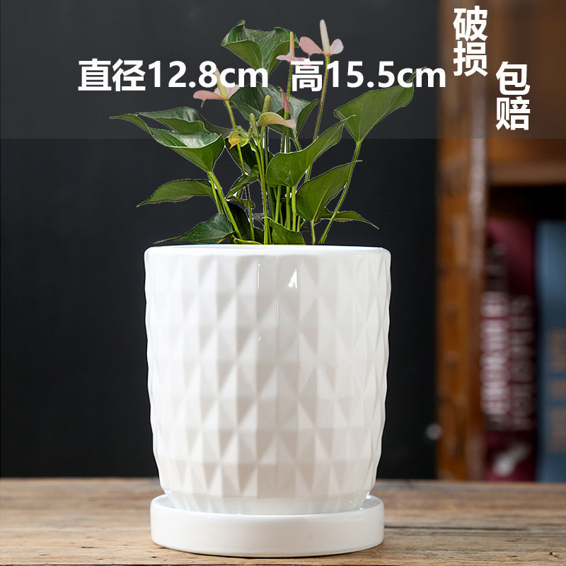 Pure white gypsophila (ceramic tray in one)