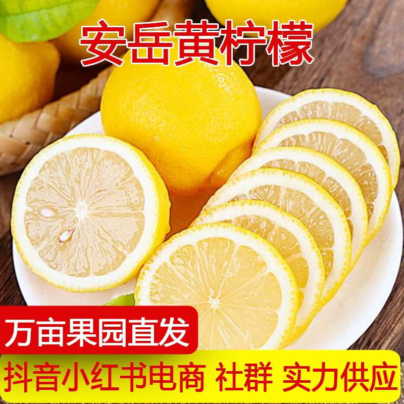 Сычуань Anyue Свежая желтая лимонная корка тонкая, кислая, сочная, соковарная, лимонная чайная