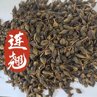 �B�N��ș�����l�o����؛ ���N ���|�B�N ��؛���� ����ă��S�N