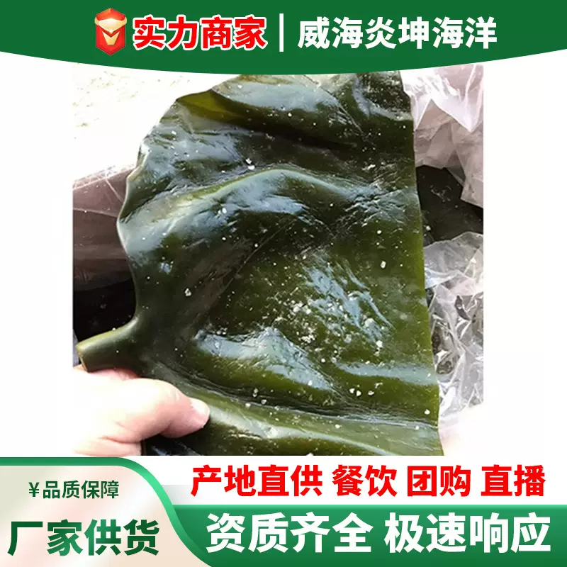 找小胖新鲜海带头特厚盐渍海带根头5斤厚实无沙火锅餐饮食材商用