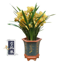 ���P���m�������Ԏ�����ԭ��ԭ���؃r���m�ļ������m���ܾGֲ��