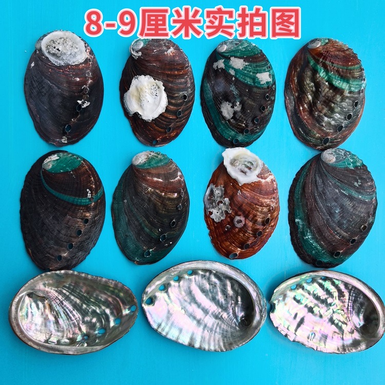 MEITU_20250421_122351853