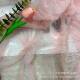 2024 multi-color three-dimensional mesh embroidered cloth lace embroidered Lolita children's dress dress fabric