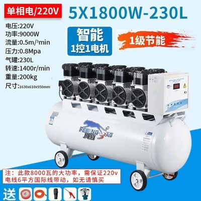 Compressor 380V Oil-Free Silent | Hava kompressorları - professional-air-compressor-choose-fengbao-and-you-wont-go-wrong-9000w-with-thick-copper-wire-230l-single-phase-power