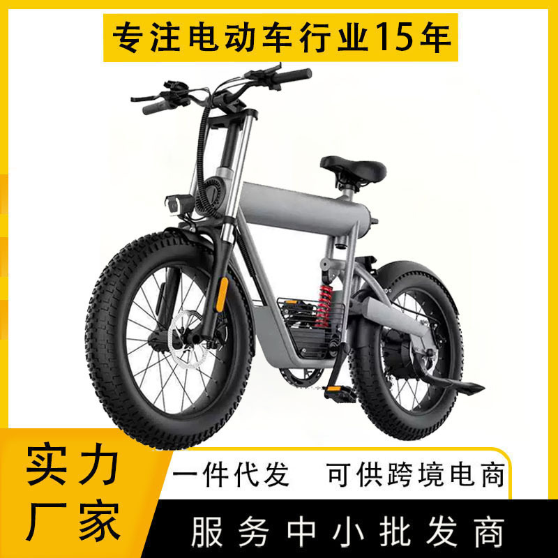 Two-Wheeled Electric Scooter 10A T20 Fat Tire 4inch Tire Low-Carbon Travel Bicycle Cross-Border Exclusive Supply