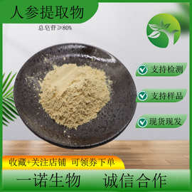人参皂苷80%人参皂甙 水溶性人参提取物rg3rh2 现货批发100g包邮
