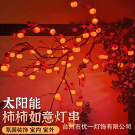 室外LED;室内LED;LED装饰灯