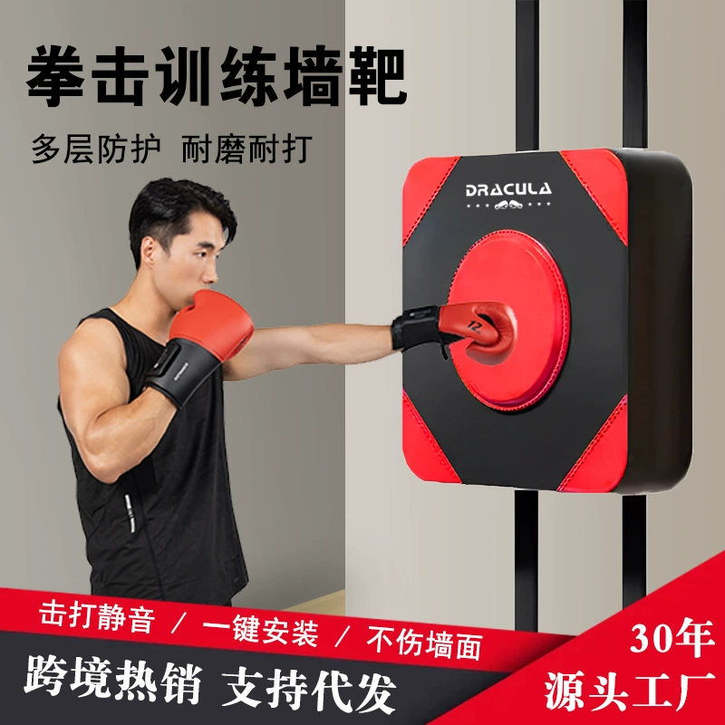 Boxing sandbag for training, wall equipment