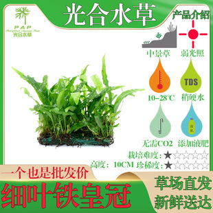 ���~�F�ʹ�¹���F�ʹں�ľާ��ľާ�������~�F���~�Fˮ���~���쾰