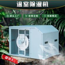 ����C���������Ҵ������ȥ��C���ƴ���������L������