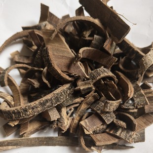 ���l��ͩƤ�ͩƤ ��ͩƤ ��Ƥ&nbsp;��ͩƤ ���NҎ�� ��؛ ������