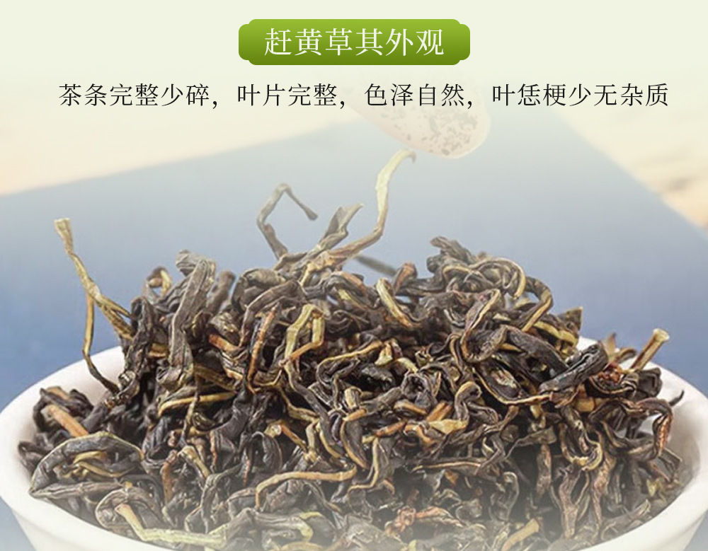 Gan Huang Cao Tea Bags 50g Canister Dried Penthorum chinense Pursh Leaves Herbal Infusion key features