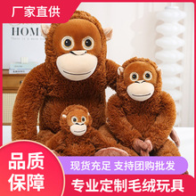 �羳�����ɹ���ë�q��ߺ��ӄ�����ż�����޼t�������_��ճ�N