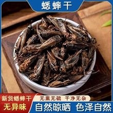 野山蟋蟀干蛐蛐干鸟食鸟饲料蟋蟀粉干五谷虫面包虫蝼蛄干真货好货