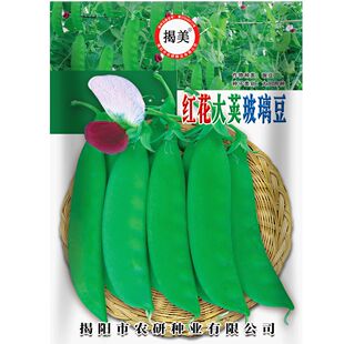�����t�����v�������N�� �����ϼt�����m�������㶹�N��30��