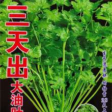 ~MڷNļ׷N̨͟Ը߮a͟ͺ