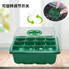The new seedlings of seedlings, three -piece permeable air seedlings, planting, transpinged multi -functional gardening planting pots, maintenance points