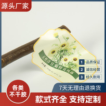 ʳƷͨ�����Ĥ�����z���yƷlogo��ˮ�ջ��tș�˺��̘˷�ژ˺�