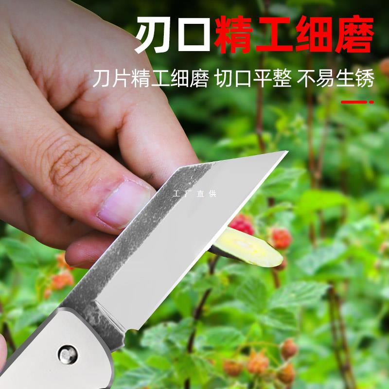 果树嫁接刀嫁接多功能架接刀苗木嫁接膜工具套装芽接刀