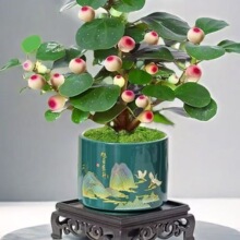 �ļ�������С��������辰�k���҃�ˮ����B�U�⻨��С�Gֲ������