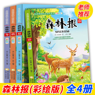 ȫ4��  ɭ�ֈ� �ʈD�� �����ﶬ�옷�x����ȫ������С�W�n���