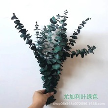 �������ȼ����~ �~�X��  ����~�����ȼ���һ��5֦��